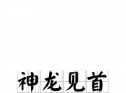 开云体育app-神龙见首不见尾！球队精彩表现