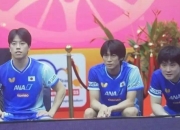 开云体育APP下载-中国队险胜德国队，张本智和惊艳四座