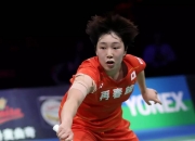 开云下载-印尼队绝杀丹麦队，马琳刷新纪录