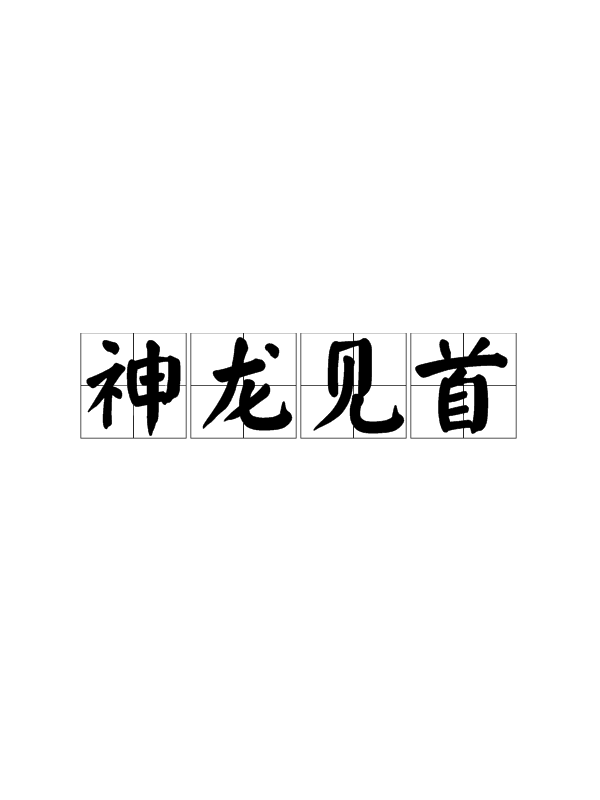 神龙见首不见尾！球队精彩表现