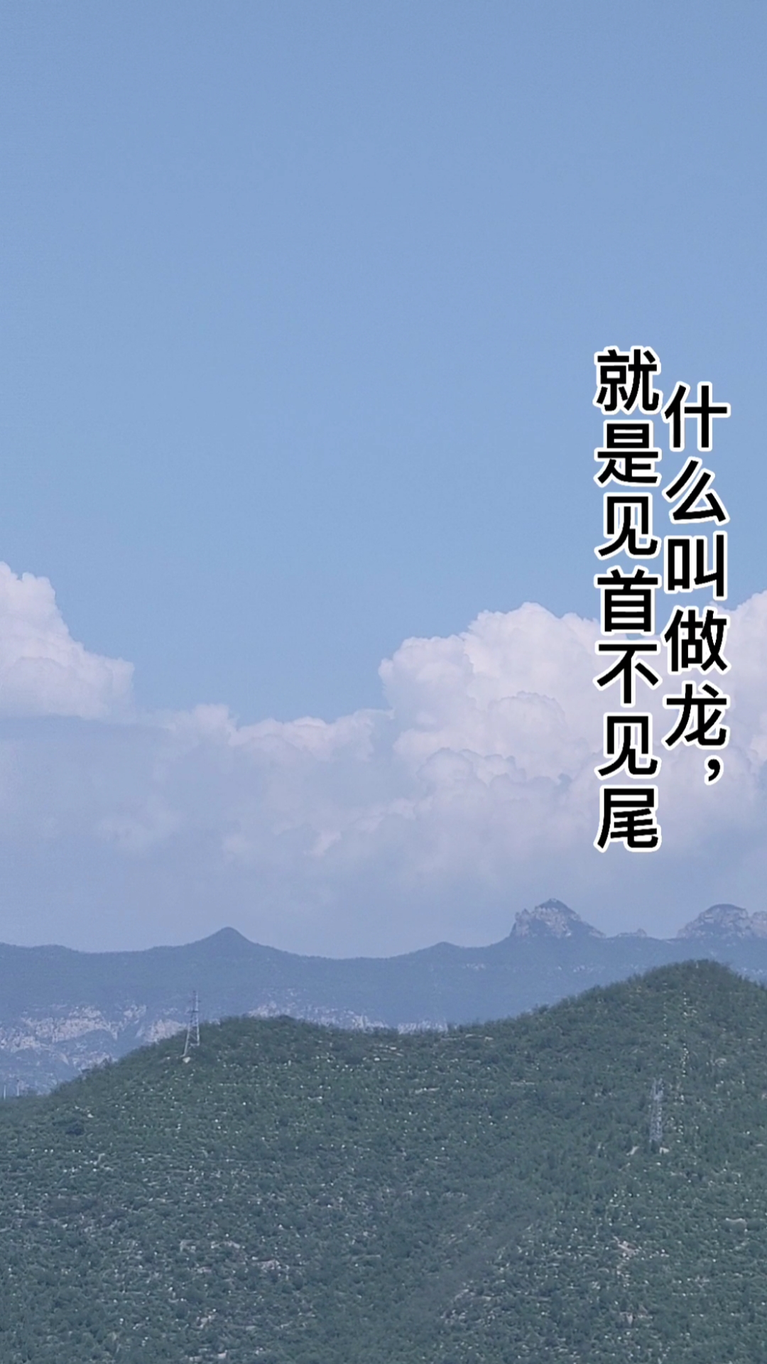 神龙见首不见尾！球队精彩表现