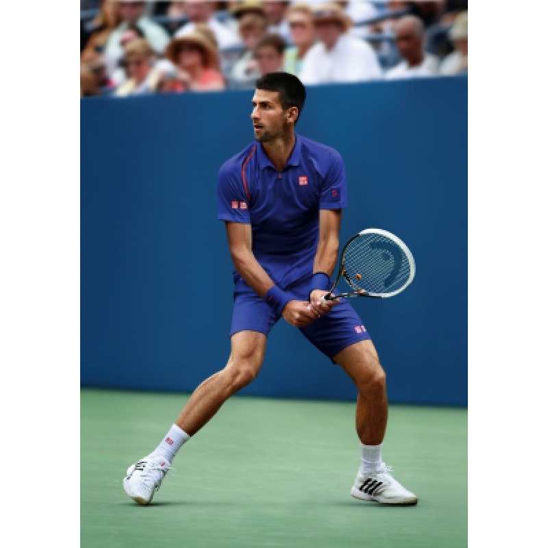 关于世界网球队碾压美国网球队，德约科维奇关键制胜的信息