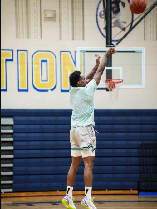 西班牙男篮血洗意大利男篮，杰伦·布朗高光表现的简单介绍