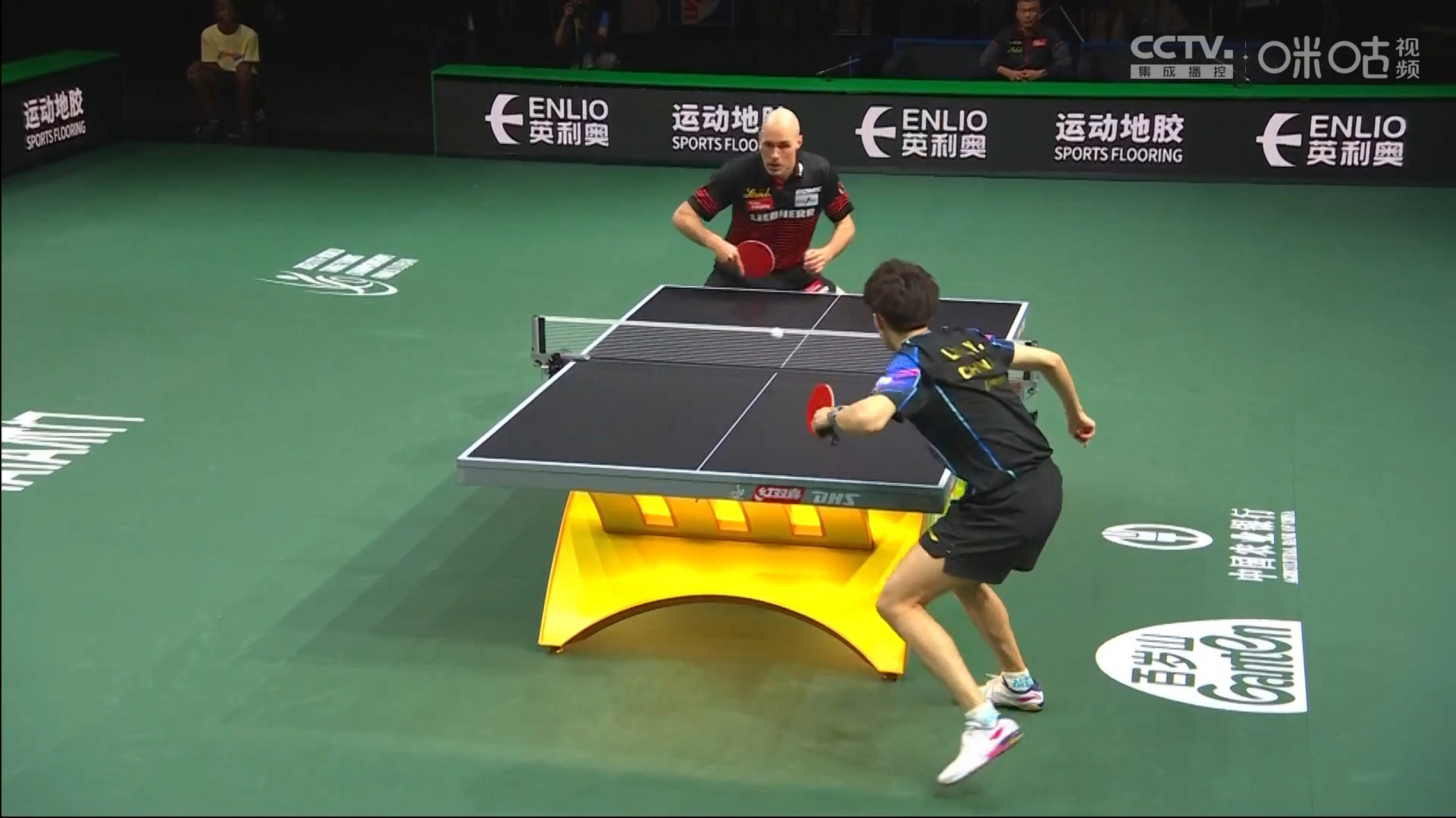 奥地利队碾压英格兰队，林高远刷新纪录的简单介绍