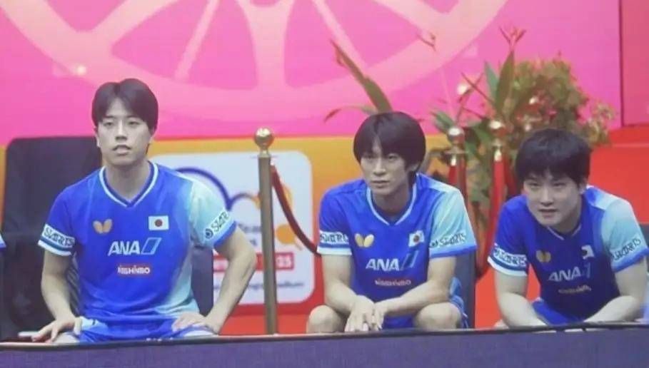 中国队险胜德国队，张本智和惊艳四座